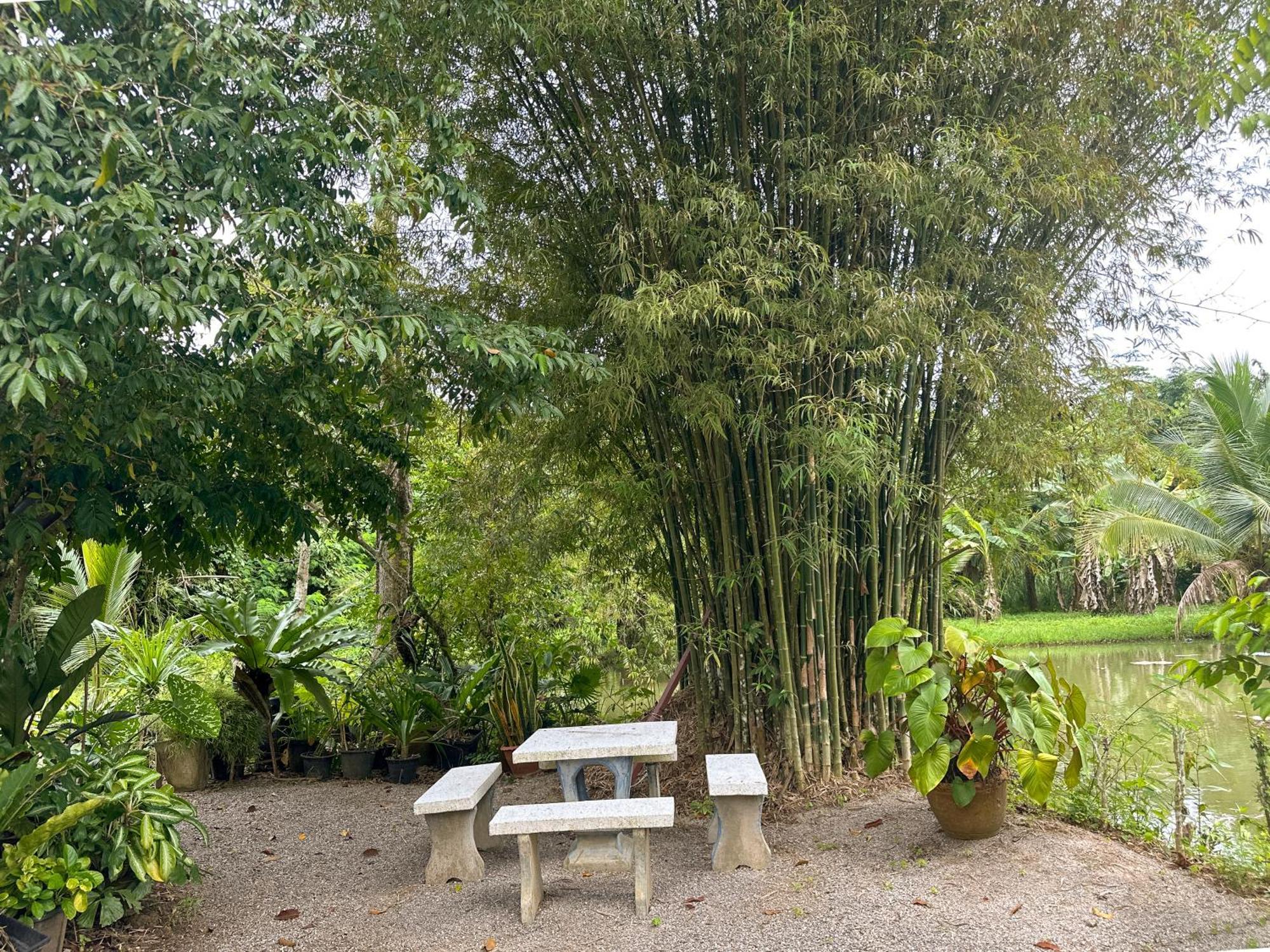 Baan Panmala Guesthouse - Ao Luek, ク ラビ エクステリア 写真