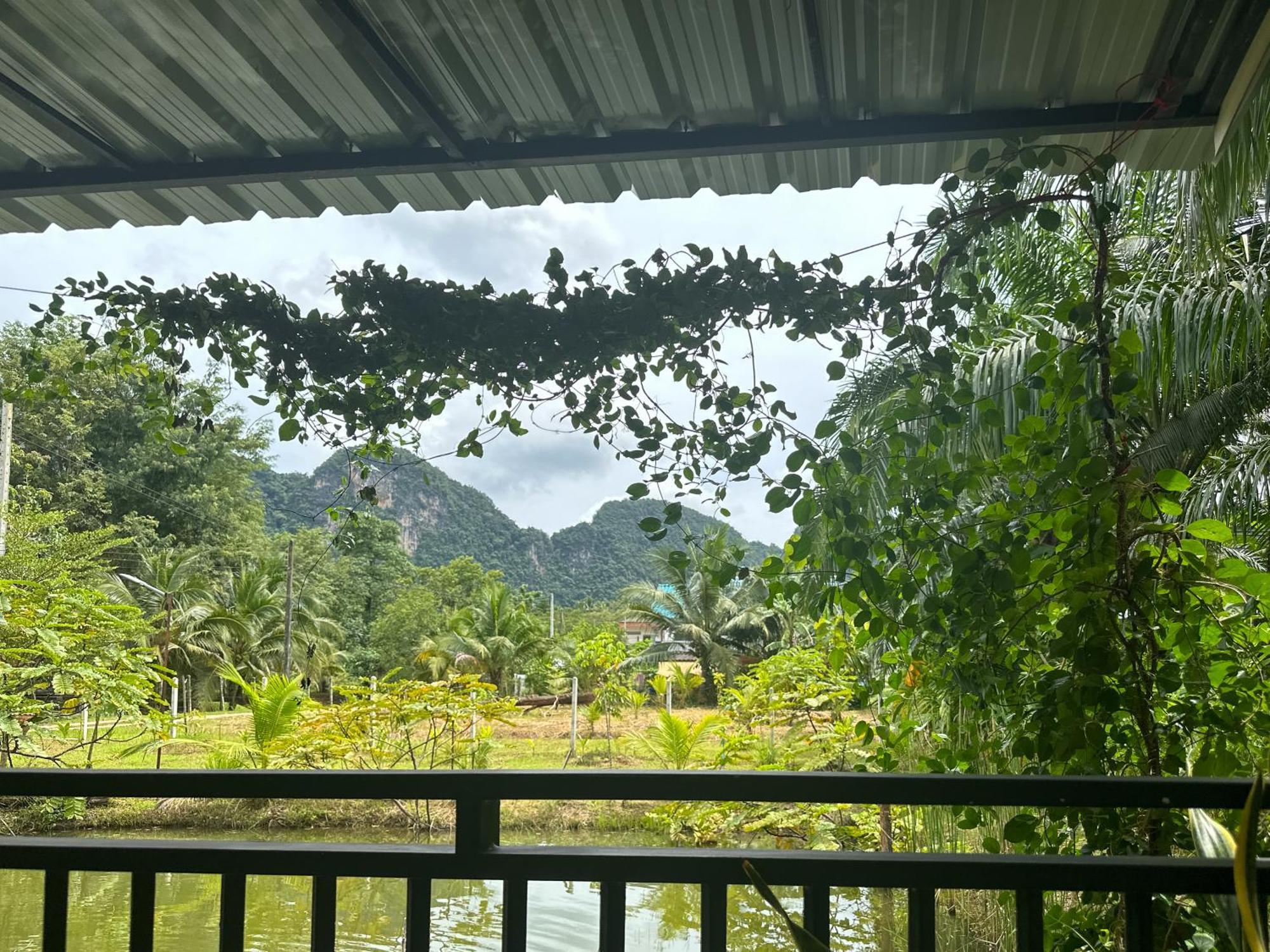 Baan Panmala Guesthouse - Ao Luek, ク ラビ エクステリア 写真