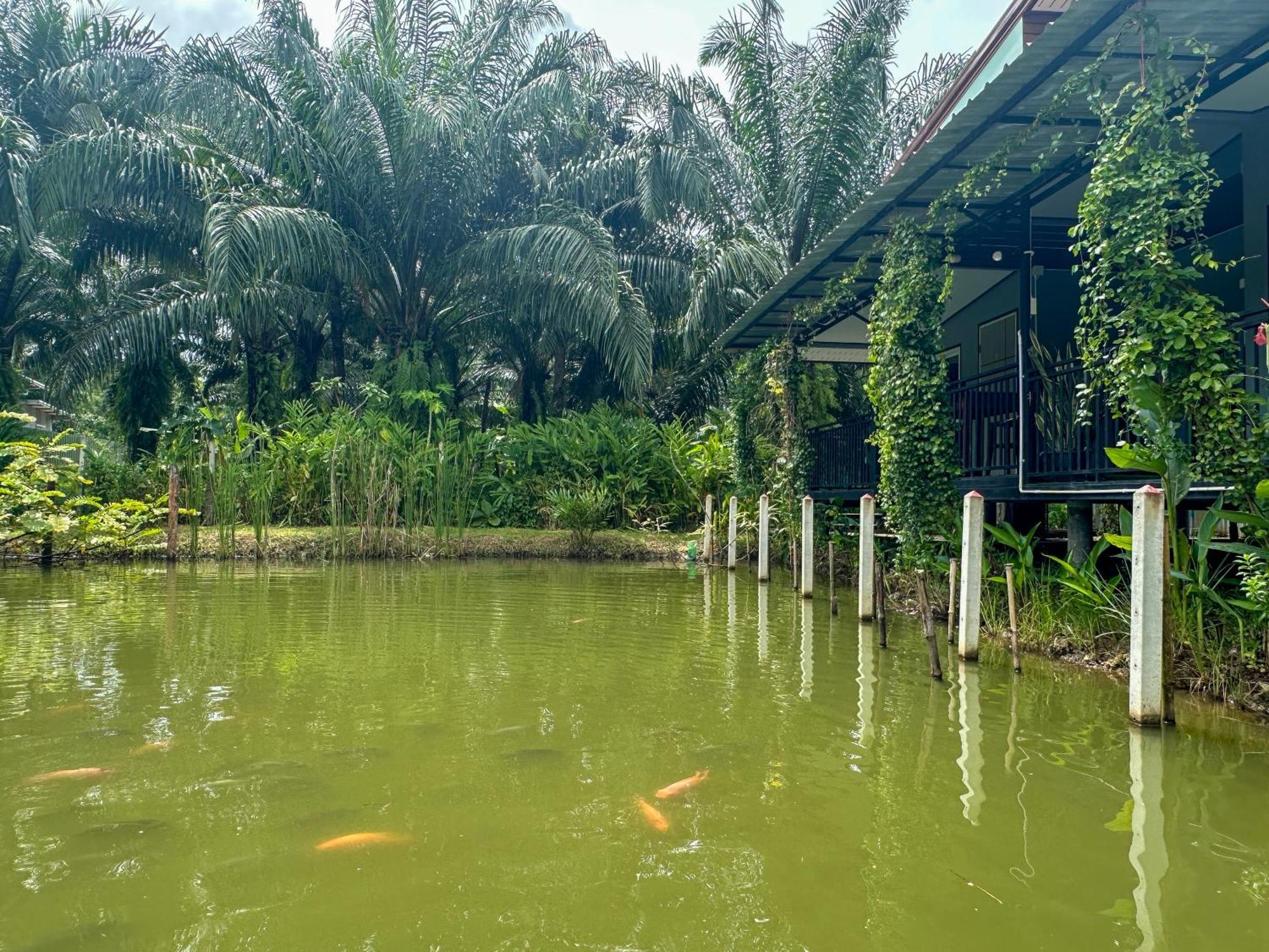 Baan Panmala Guesthouse - Ao Luek, ク ラビ エクステリア 写真